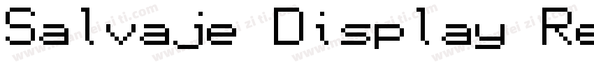 Salvaje Display Regular字体转换